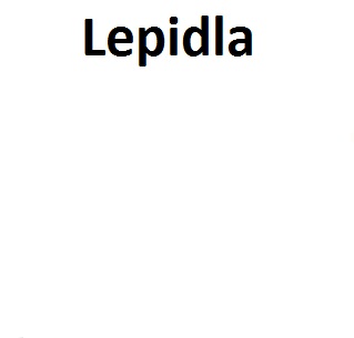 Lepidla na micro ring